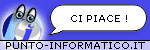 Punto Informatico, l'evoluzione della rete